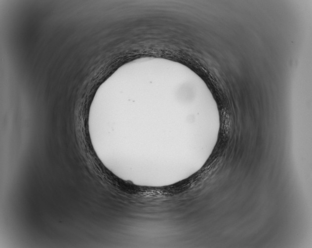 X0000096381489200802211110