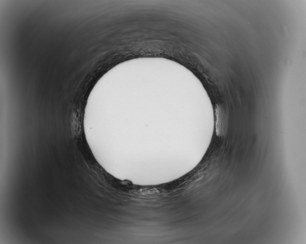 X0000096381491200802211110