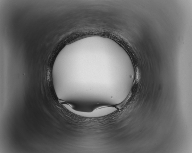 X0000096381492200802211110