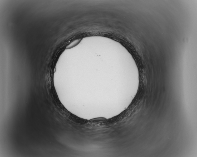 X0000096381493200802211110