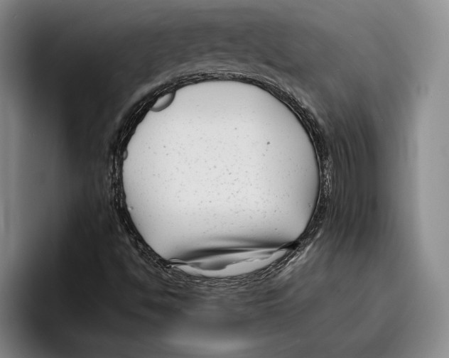 X0000096381494200802211111