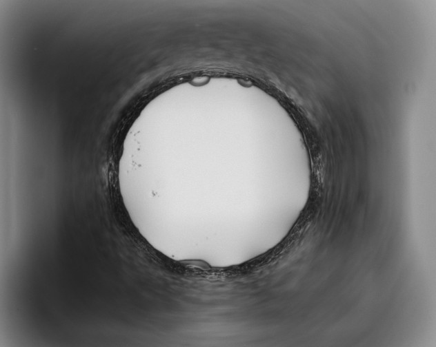 X0000096381495200802211111