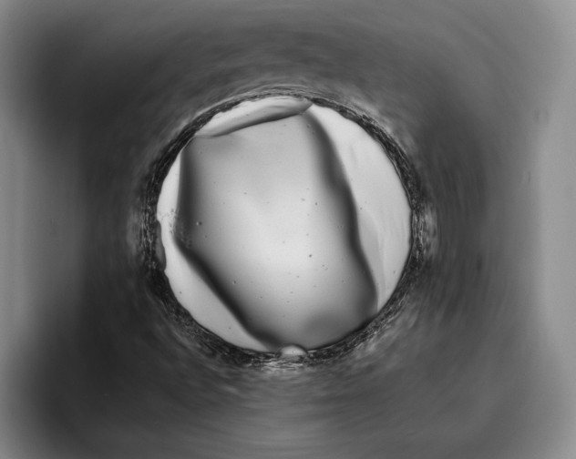 X0000096381496200802211111