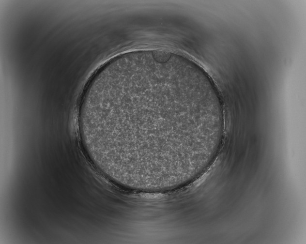 X0000096381498200802211111