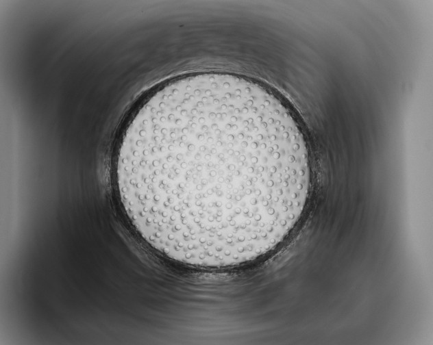 X0000096381499200802211111