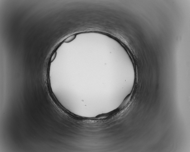 X0000096381500200802211111