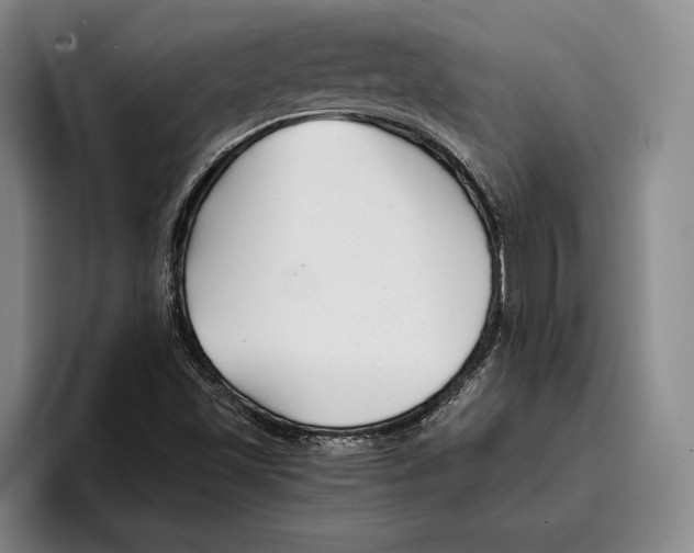 X0000096381501200802211111