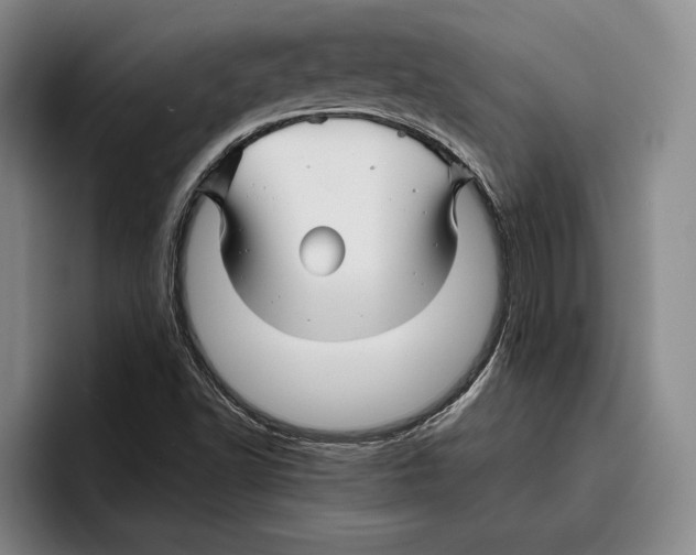 X0000096381502200802211111