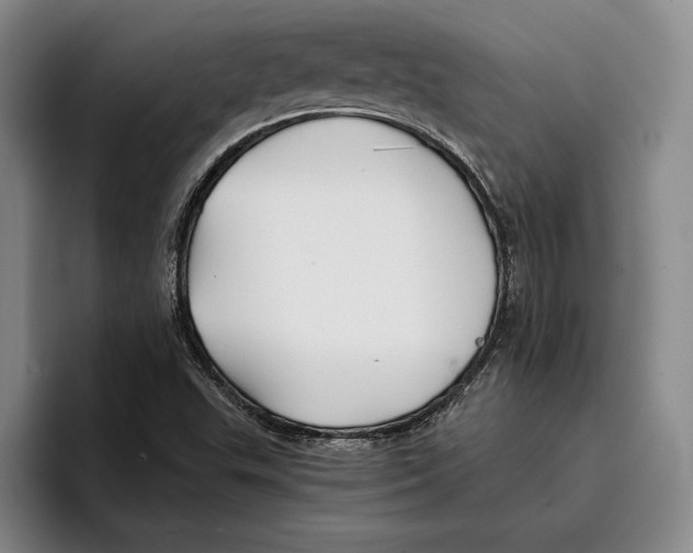 X0000096381503200802211111