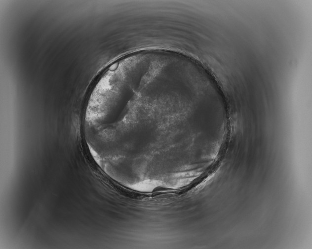 X0000096381505200802211111