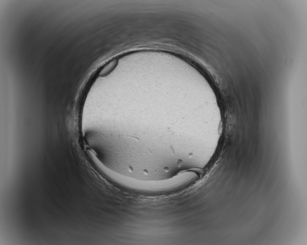 X0000096381506200802211111