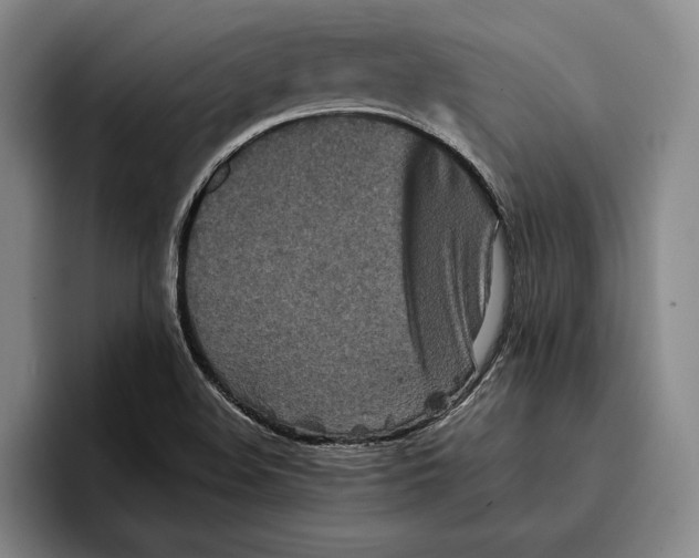 X0000096381508200802211111