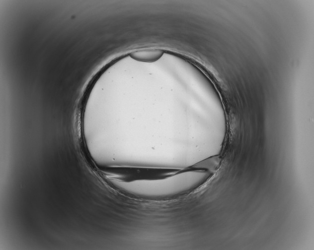 X0000096381510200802211111