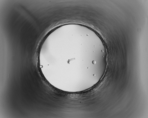 X0000096381511200802211111