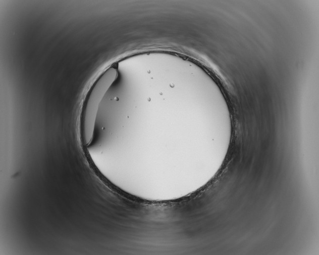 X0000096381512200802211111