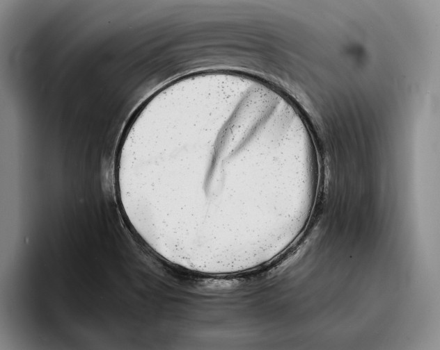 X0000096381513200802211111