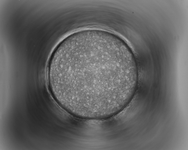 X0000096381514200802211111