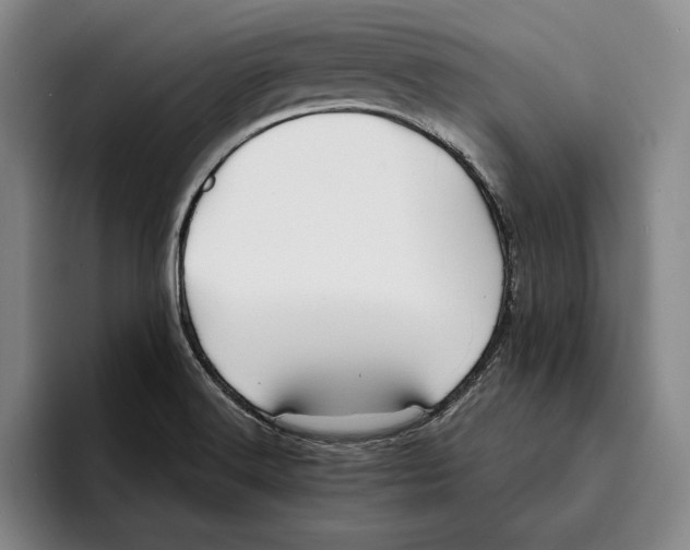 X0000096381516200802211111