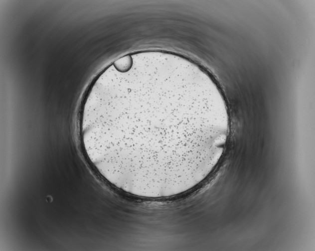 X0000096381517200802211111