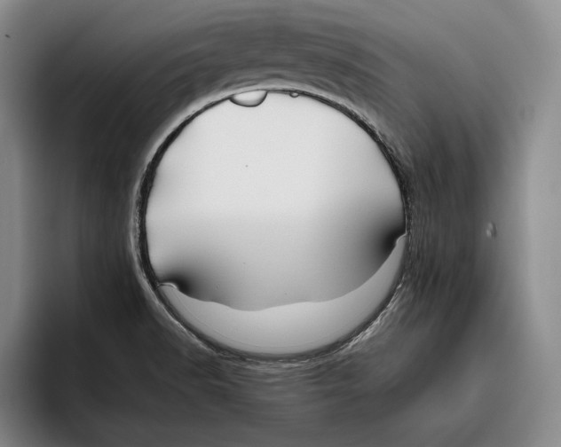 X0000096381518200802211111