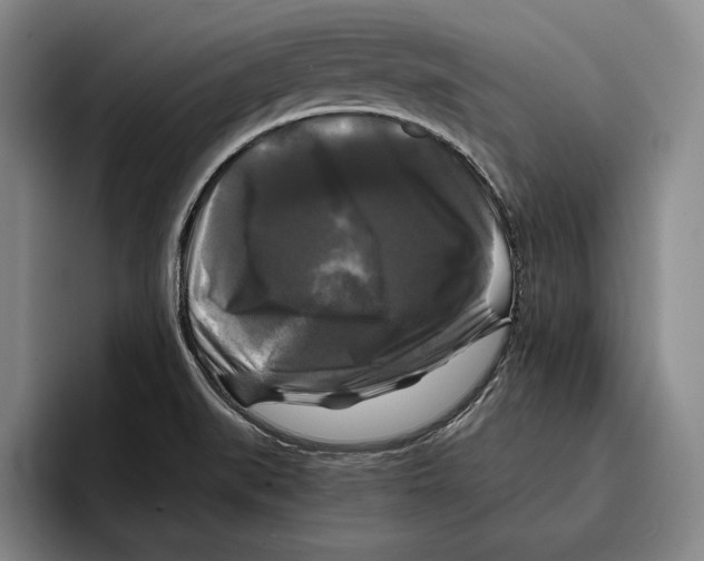 X0000096381519200802211111