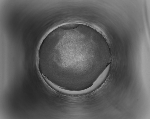 X0000096381520200802211111