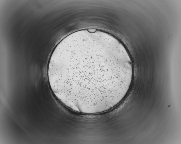 X0000096381521200802211111