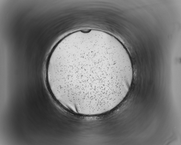 X0000096381523200802211111