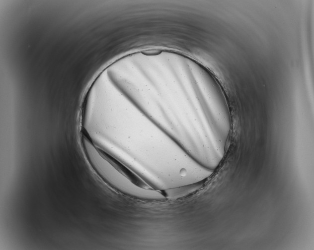 X0000096381524200802211111