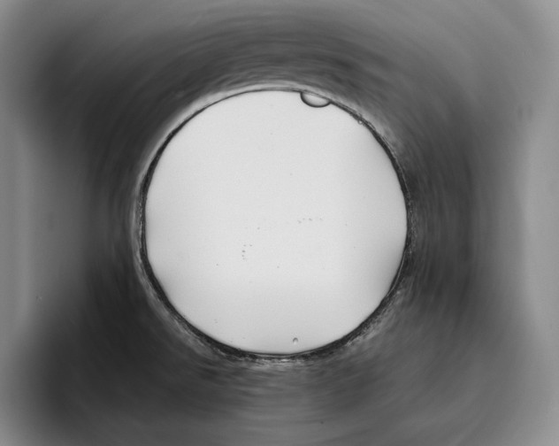 X0000096381526200802211111