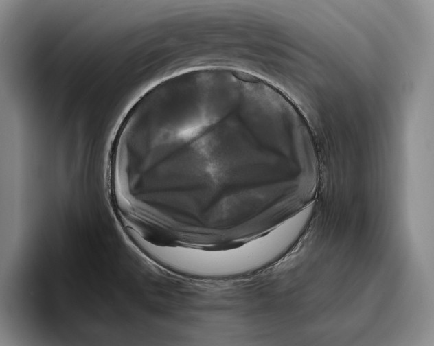 X0000096381527200802211111