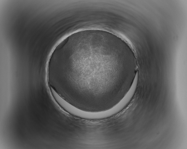 X0000096381528200802211111