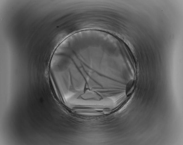 X0000096381529200802211111