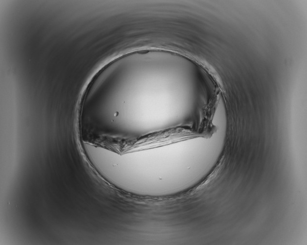 X0000096381530200802211111