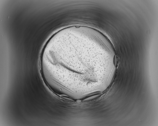 X0000096381531200802211111