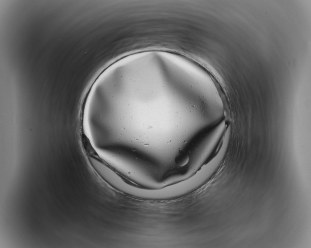 X0000096381532200802211111