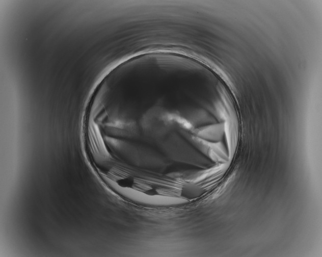 X0000096381533200802211111