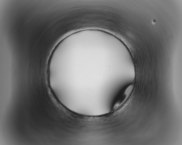 X0000096381534200802211111