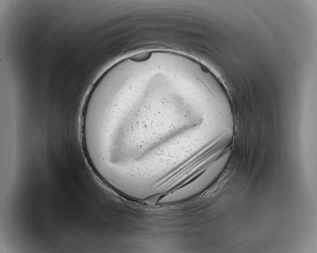 X0000096381535200802211111