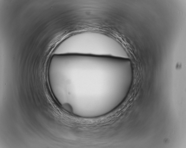 X0000096390002200801241127