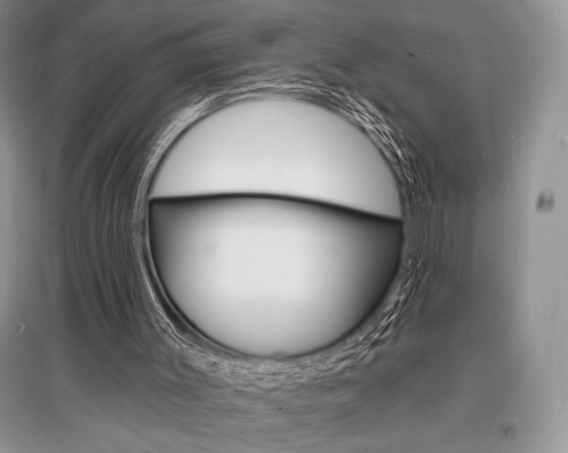 X0000096390003200801241127