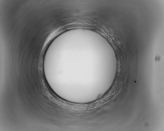 X0000096390004200801241127