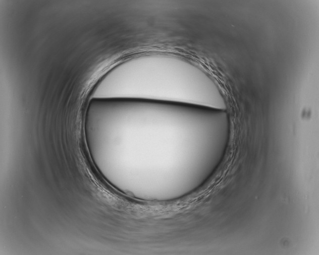 X0000096390005200801241127