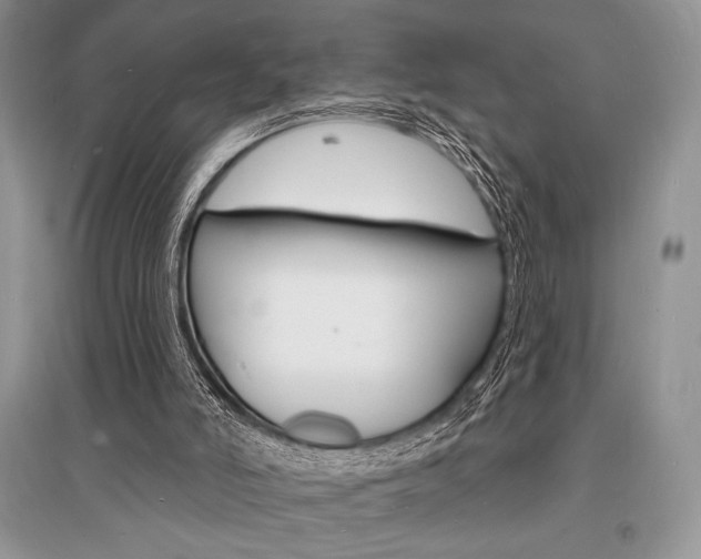 X0000096390006200801241127