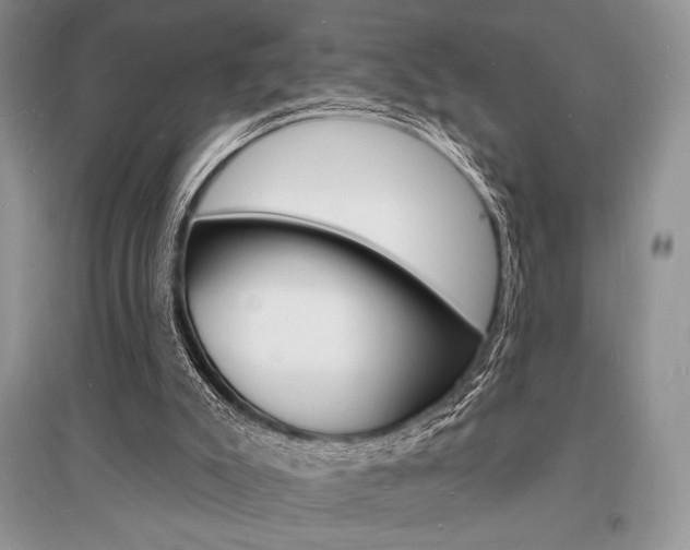 X0000096390007200801241127