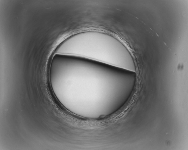 X0000096390008200801241127