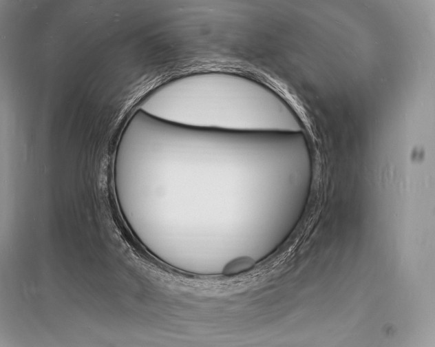 X0000096390010200801241127