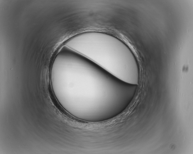 X0000096390011200801241127