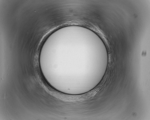 X0000096390012200801241127