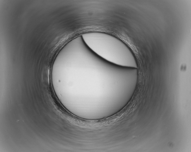 X0000096390014200801241127